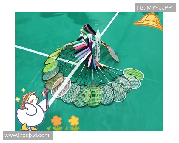 深圳羽毛球队的蜕变之路与深度解析羽毛球运动的未来发展